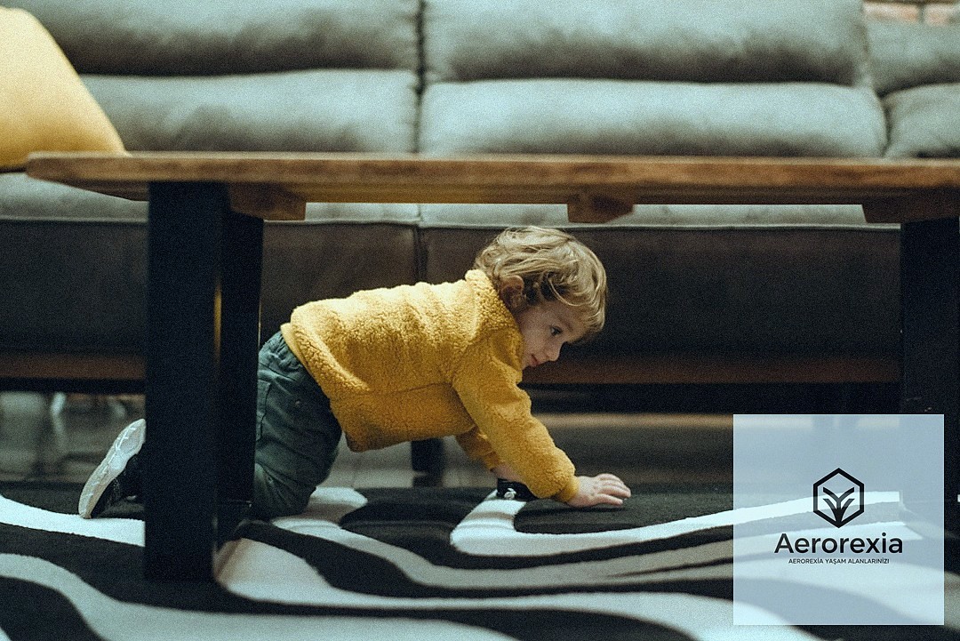 Mobilya Sektöründe Veriye Dayalı Tasarım ve Ürün Geliştirme Yaklaşımları - section 1