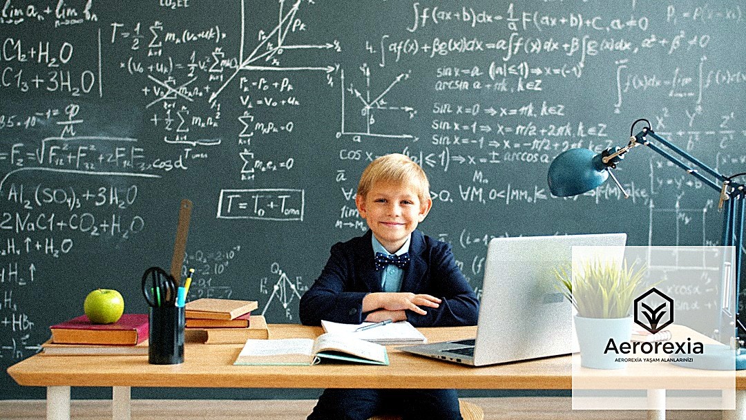 Sürdürülebilir Malzeme Seçimi: Mobilya Üretiminde Çevresel Etkiyi Azaltma