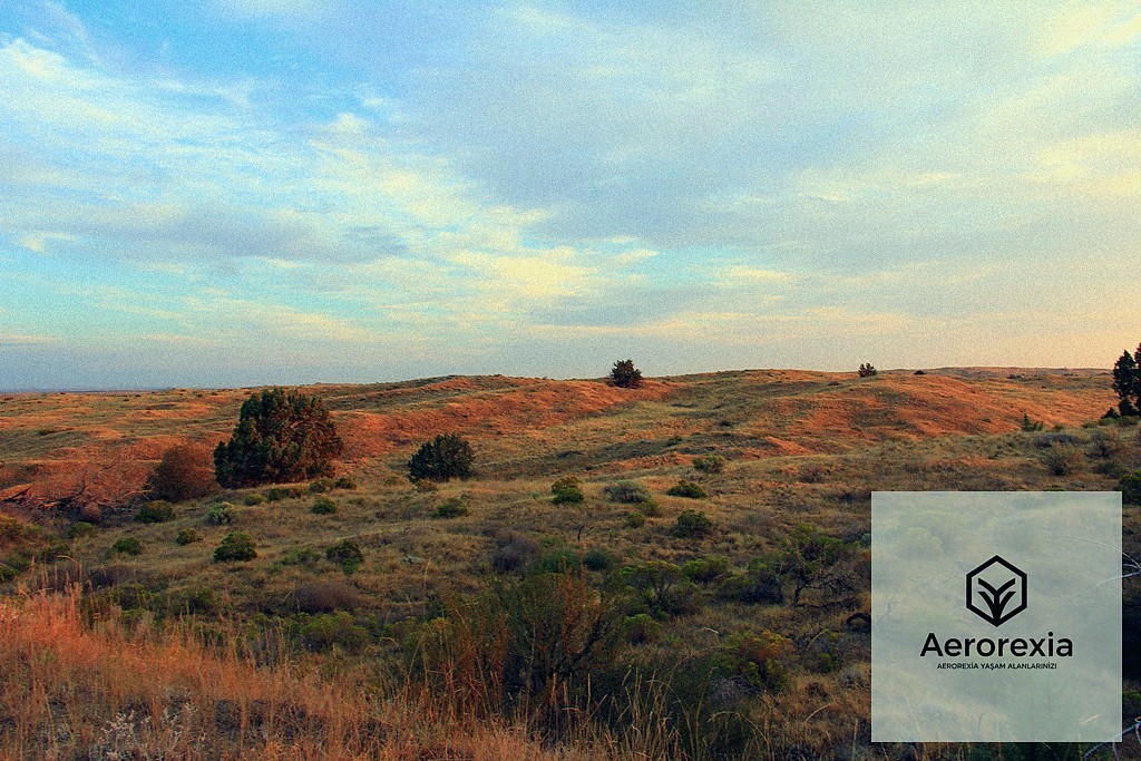 Perakende Mobilya Mağazaları İçin Stok Yönetimi ve Lojistik Optimizasyonu - section 3